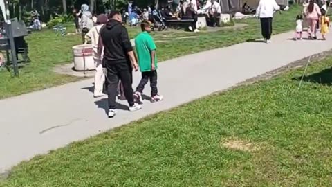 There are no Austrians in parks in Vienna. This is what an invasion looks like.