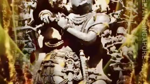 வயலை தேடி கண்ணன் TMS LEGEND M.THIRAVIDA SELVAN SINGAPORE TMS FANS 2025