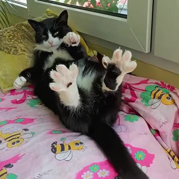 🤝✨ I Also Follow with Yawan – Join the Fun!