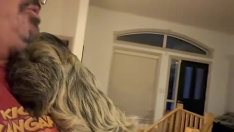 guy has a pet Sloth