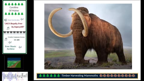 Music, Mammoths and Gaming