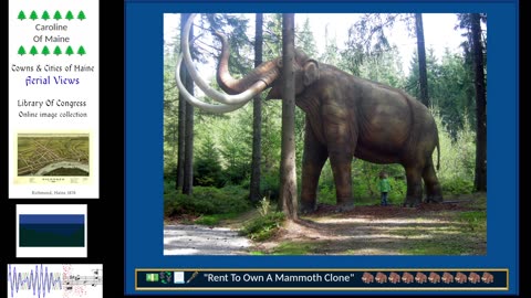 Music, Mammoths and Gaming