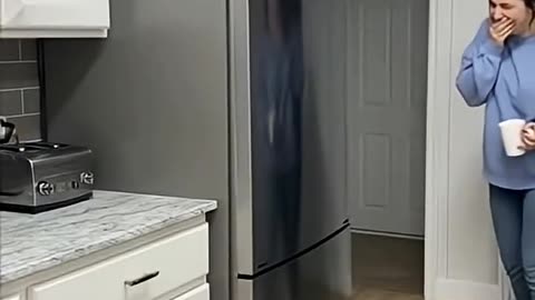 Funny Сats | Share #funnycats #catvideos #securitycamera#petfails #catlovers #viralcatvideos