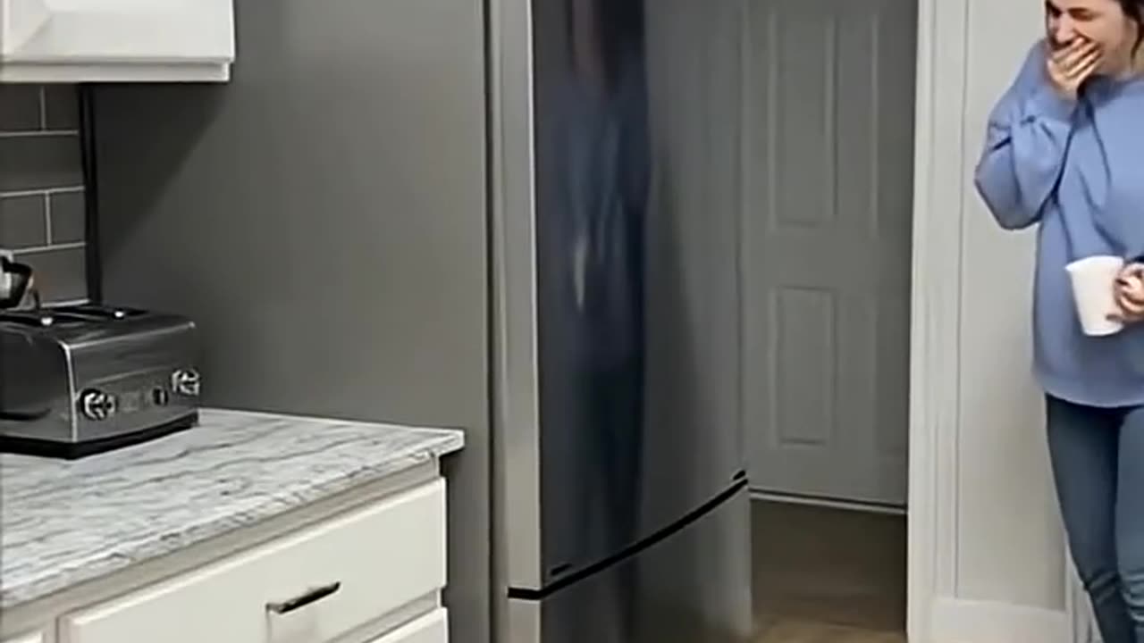 Funny Сats | Share #funnycats #catvideos #securitycamera#petfails #catlovers #viralcatvideos