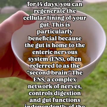 Did you know that your gut has its own system called the enteric nervous system (ENS)?
