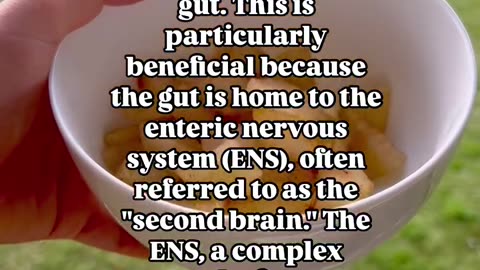 Did you know that your gut has its own system called the enteric nervous system (ENS)?