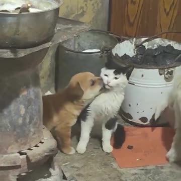 Ok little one, that’s enough.. 😅