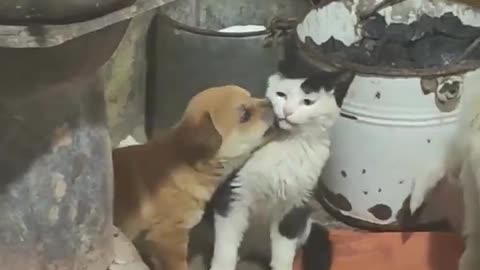 Ok little one, that’s enough.. 😅