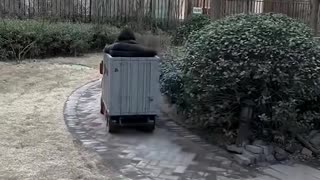 This kid drives a mini truck!.hd