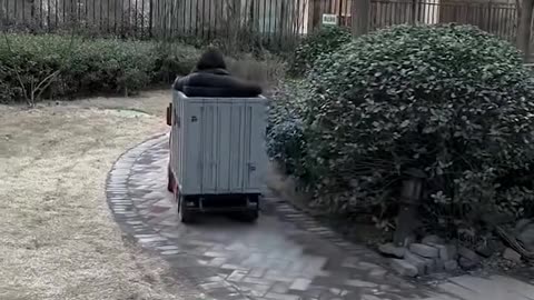 This kid drives a mini truck!.hd