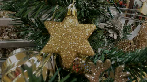 Japan Halloween and Christmas 2023 Chapter 5