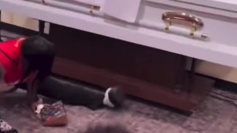 Not even the funeral is off limits.......