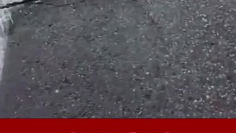 I'm very angry about what happened With Renee Nicole Good, 37