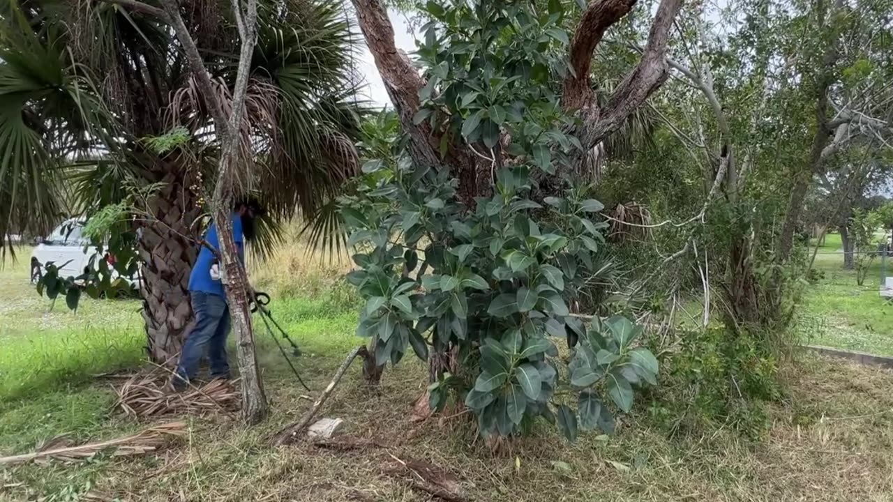 Police Called to Resolve Dispute with Upset Neighbor P9!