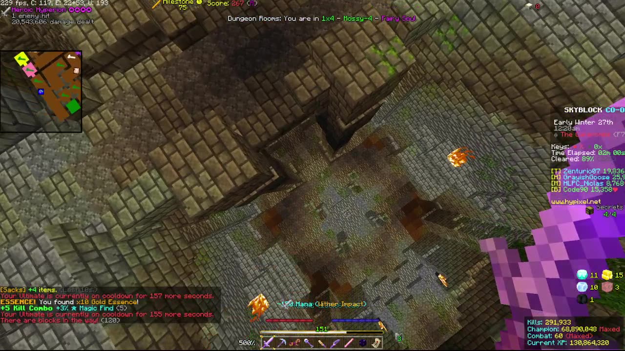 Skyblock FLOOR 7 [#2129]
