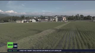 RT DE-LIVE TV