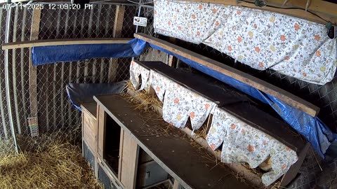 Nesting Time!
