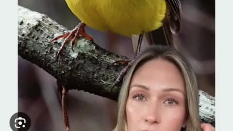 🤯🦜 You Won't Believe This Hilarious Bird Knockoff! | FunFM