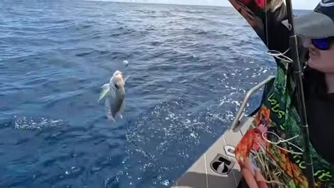 Fishing Our Local Reef with Natural Burley Non-Stop Action! (2)