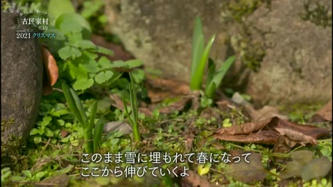 カールさんとティーナさんの古民家村だより 2021