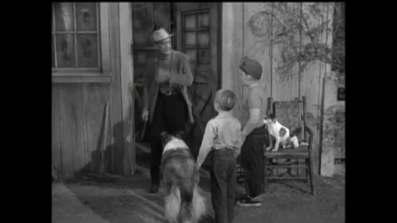 Lassie - Episode 174 - 'Rock Hound