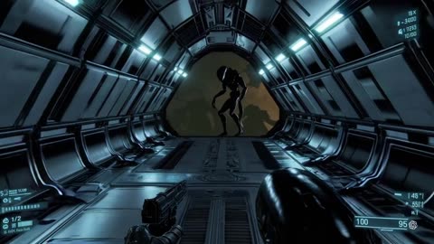 Space Showdown: Marines vs Xenomorph