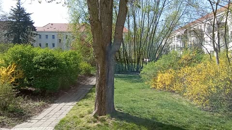 A beautiful spring day in 2025