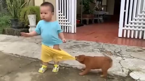 In the face of the puppy's bite, the little master looked helpless