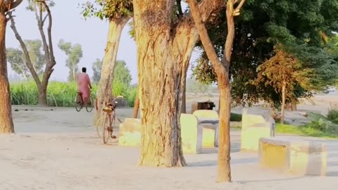 My Village is best ❤ #maxrecords #villagelife #larkana #sindh #pakistan