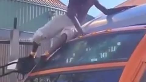 niggers act like 5 year old monkeys