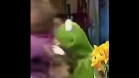 Jordan Peterson vs Miss Piggy