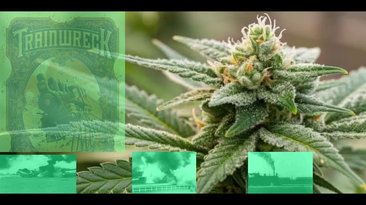Train Wreck