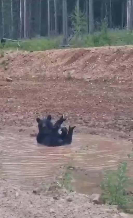 When you think no one is watching 😂