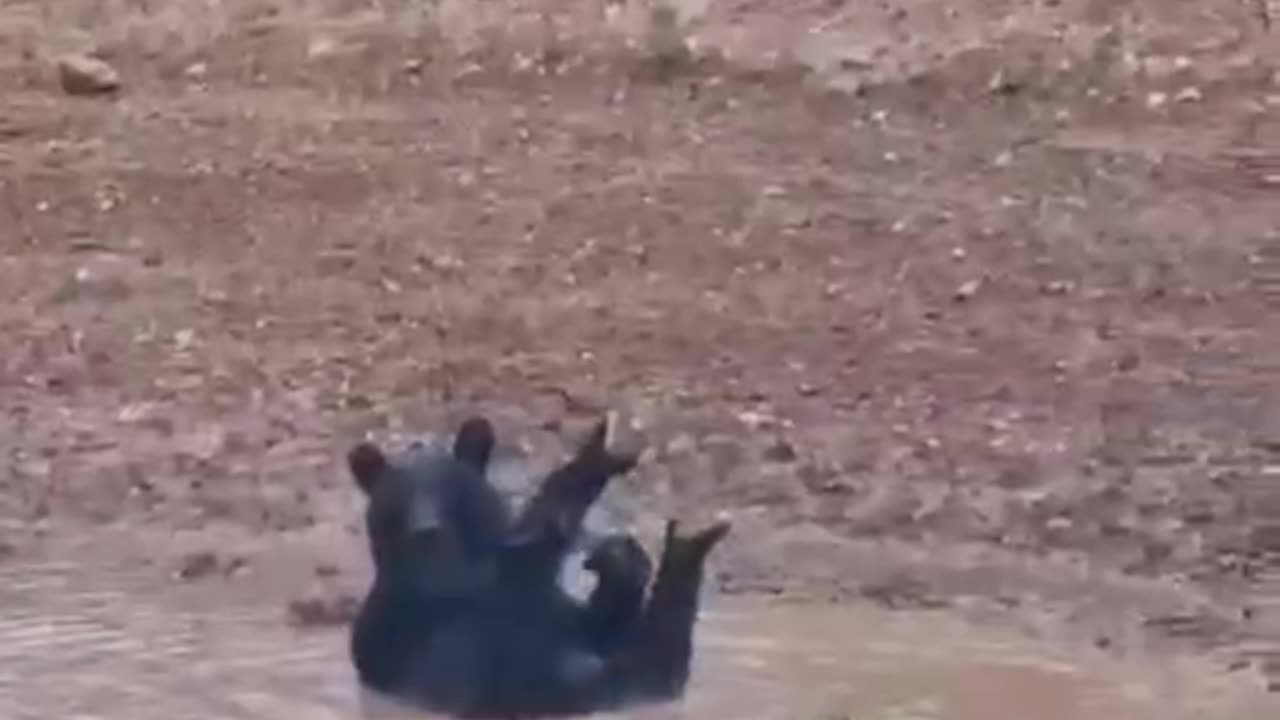 When you think no one is watching 😂