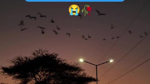 Sad status