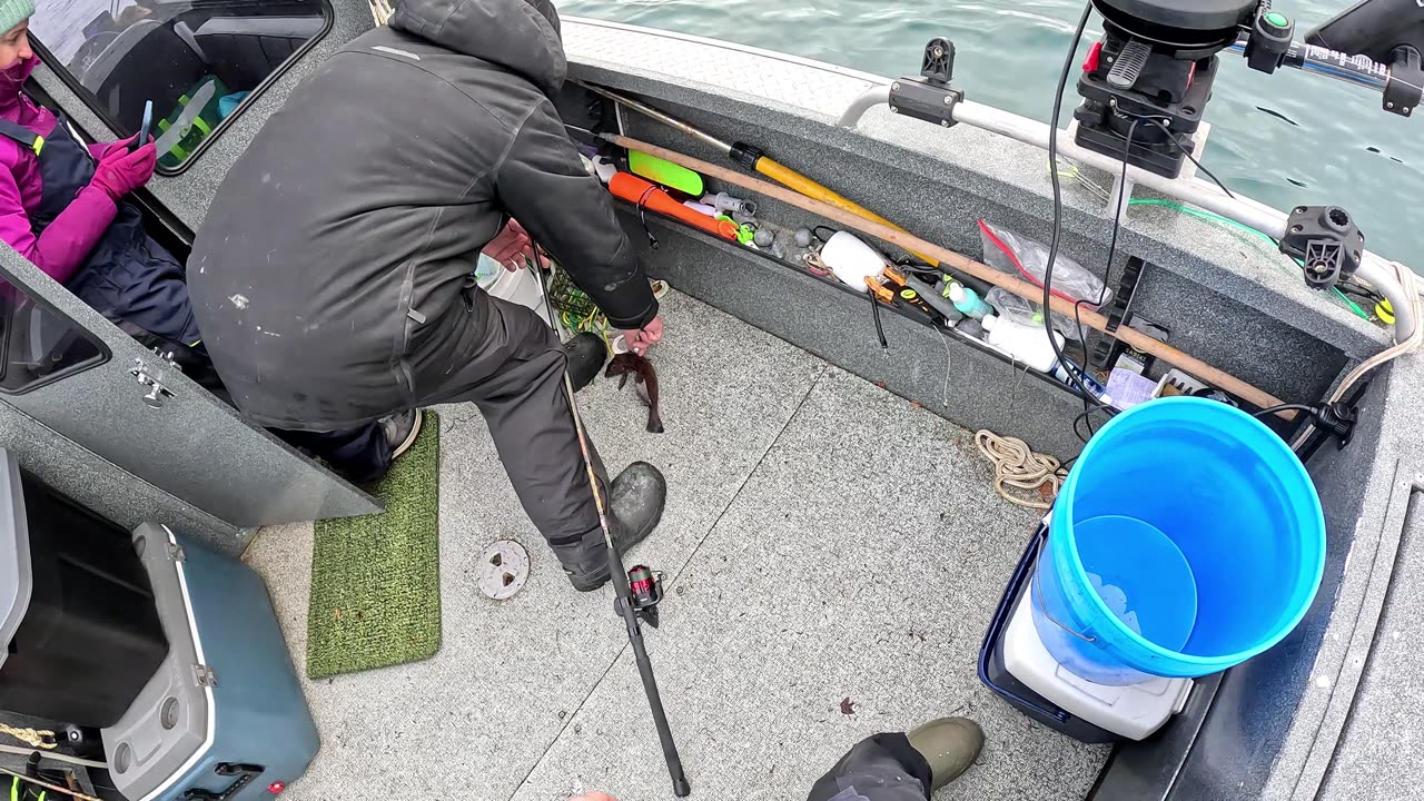 Homer Alaska Fishing for Salmon and Tanner Crab 2-16-2025