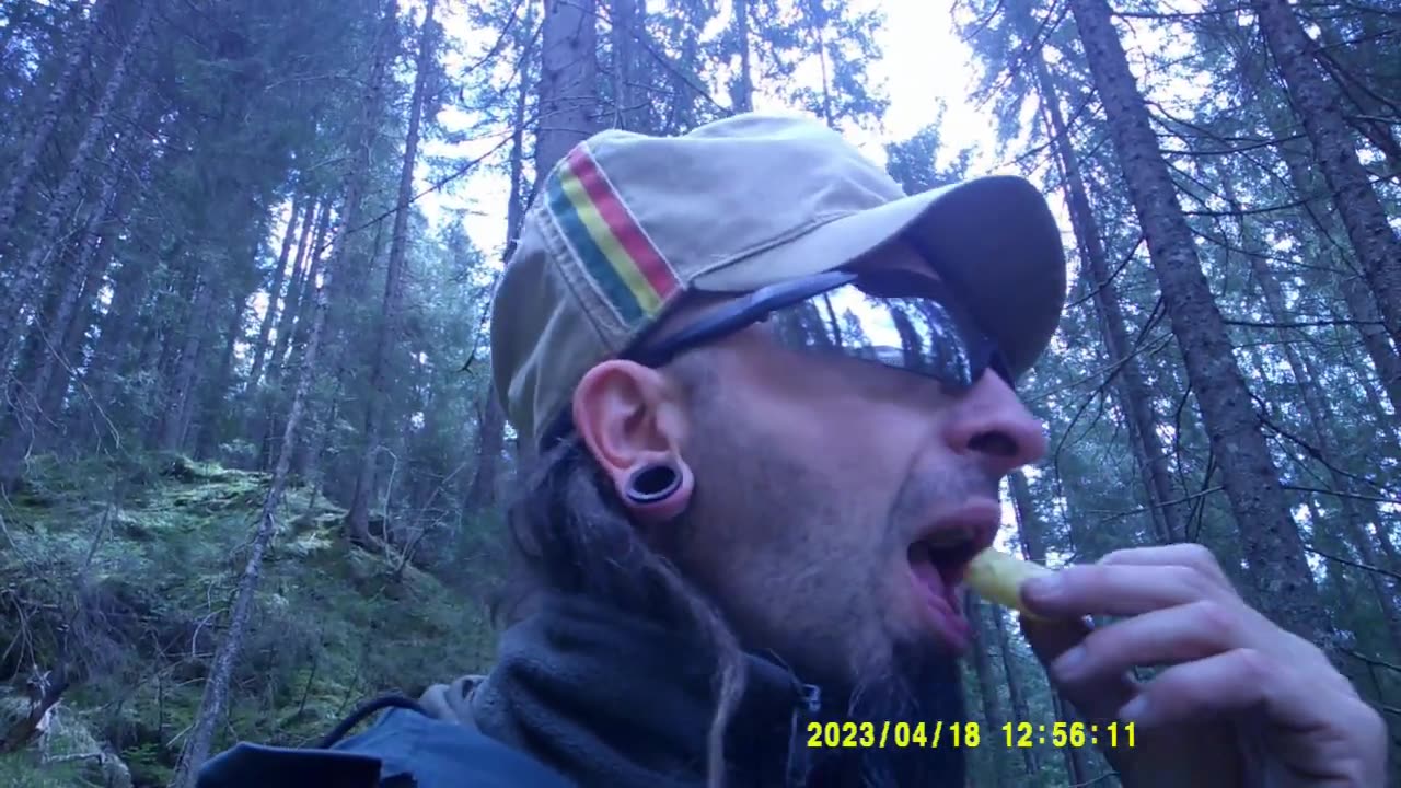 ANCORA MOLTISSIMA LEGNA DAL BOSCO (18 APRILE 2023) [VI° PARTE]