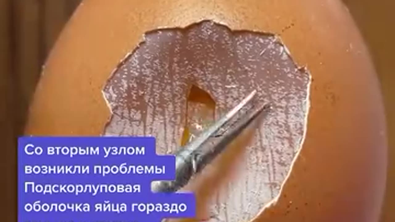 外科医生用鸡蛋练缝合