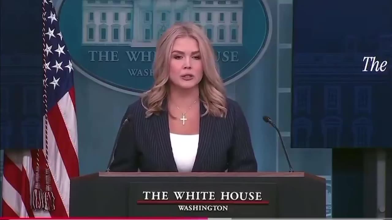 Karoline Leavitt provides receipts of MASSIVE fraud within our government