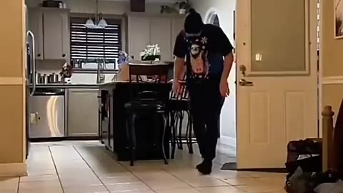 Dogs being who they are 5
