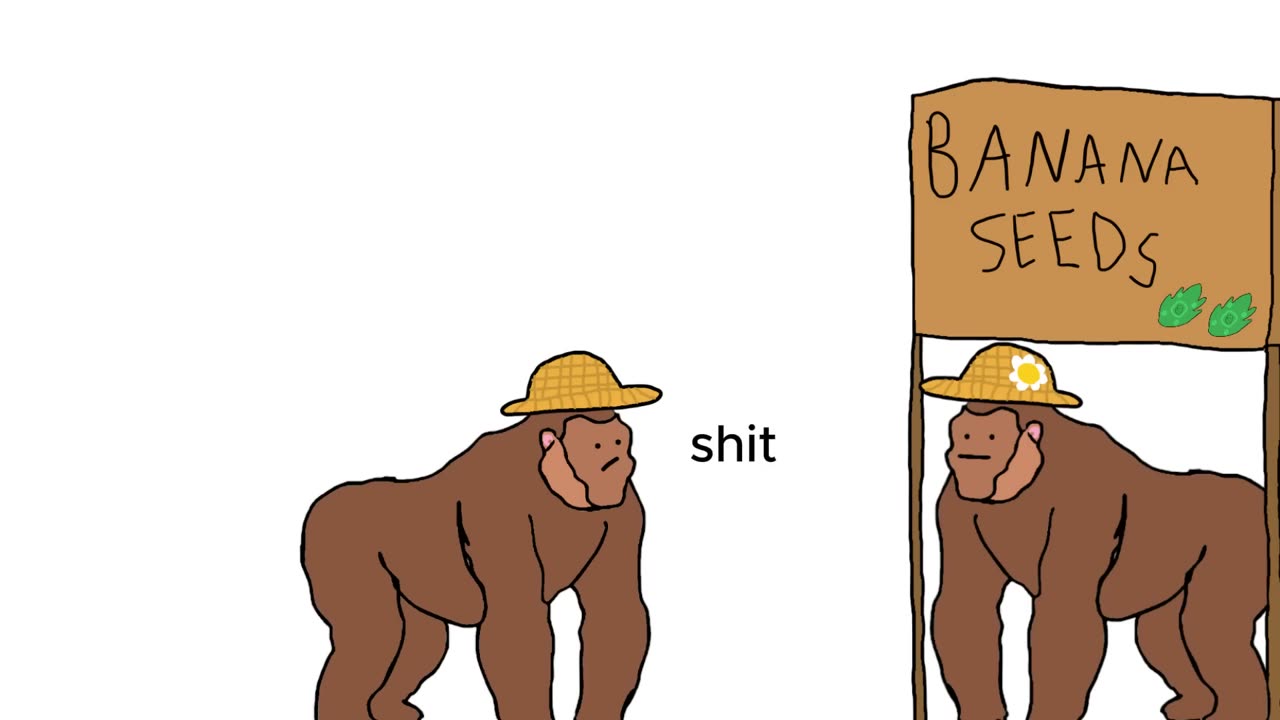 INFLATION EXPLAIN WITH BANANAS