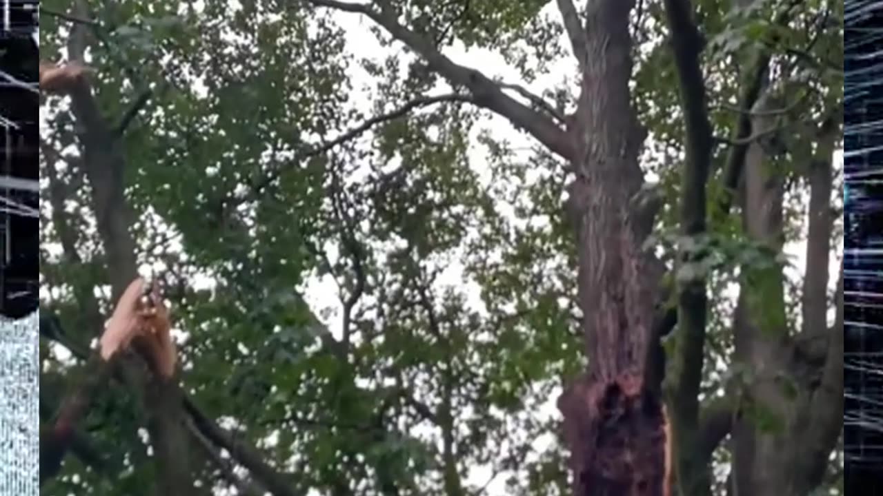 EXTRÉMNÍ PROJEVY POČASÍ ZA 21.-22.6.2025