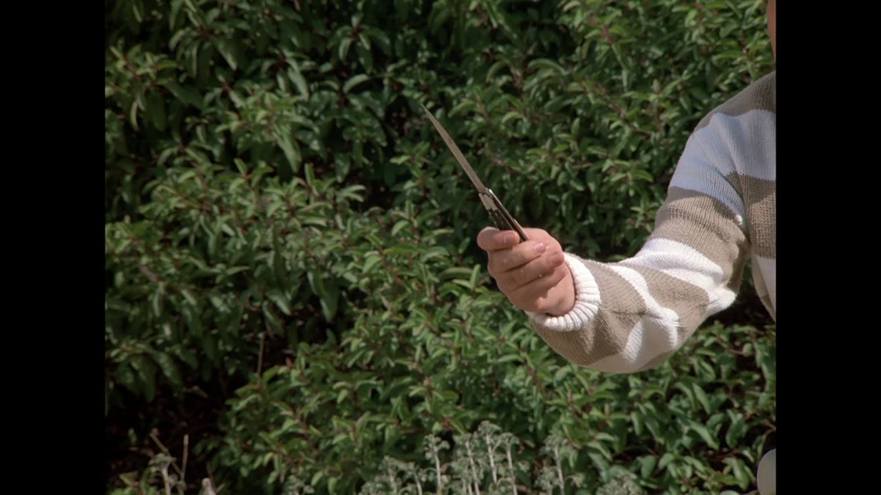 El Auto Fantástico - T02E22 - Boca Culebra (Parte 2) (1984)