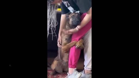 Quick Smile or cry?: What the hell did this dog go through? Rescued and then...
