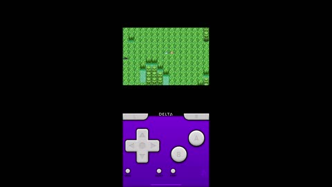 Pokémon Emerald Gameplay (5)
