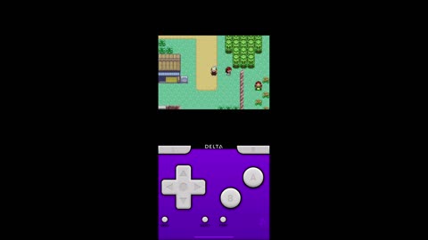Pokémon Emerald Gameplay (5)