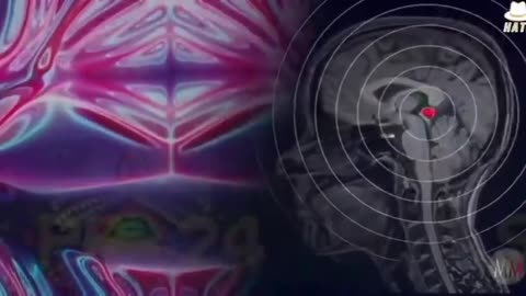 A detailed exploration of the Pineal Gland (Third Eye)