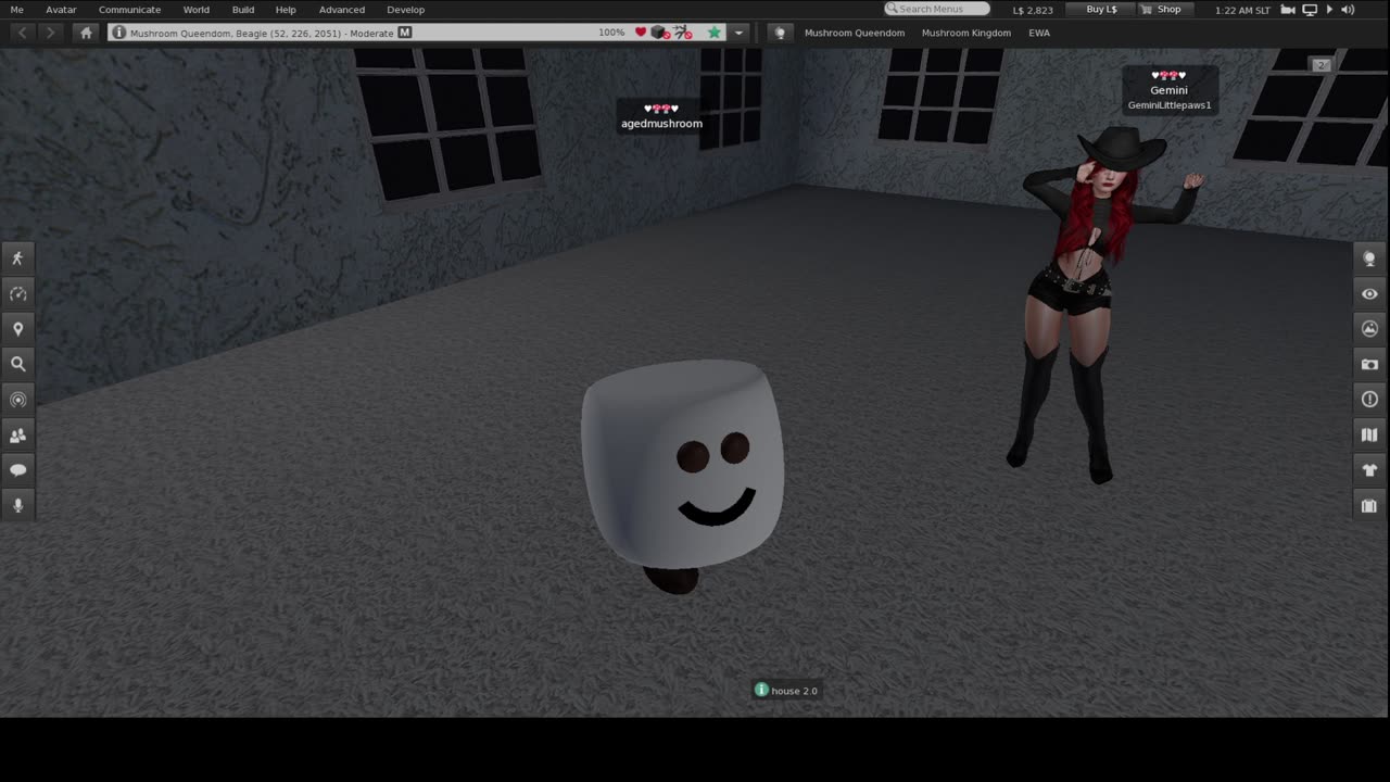 secondlife