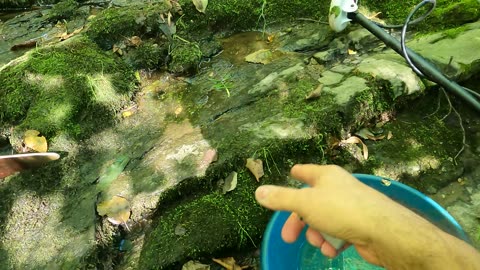 Detecting Italian Bedrock with the Minela Gold Monster!!