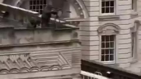 ⚠️ Viewer discretion is advised. More videos are being sent in to me from the Liverpool parade.